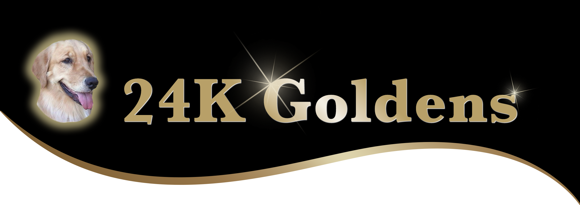 24k golden retrievers located between fresno and bakersfield California